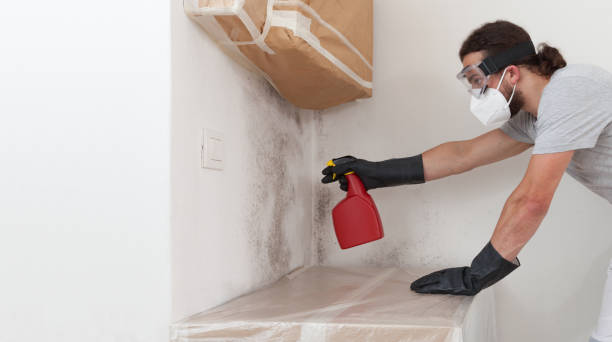 Attic Mold Remediation treatment on roof deck in Brooks