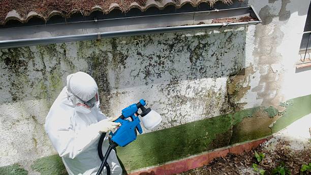 Clearance testing in Brooks